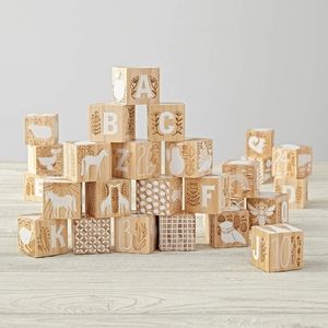 Crate & Kids Etched Wooden Baby Blocks